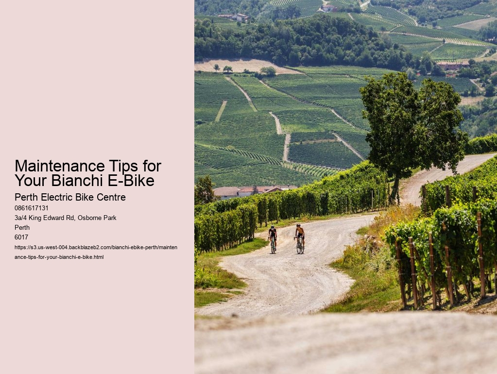 Maintenance Tips for Your Bianchi E-Bike  