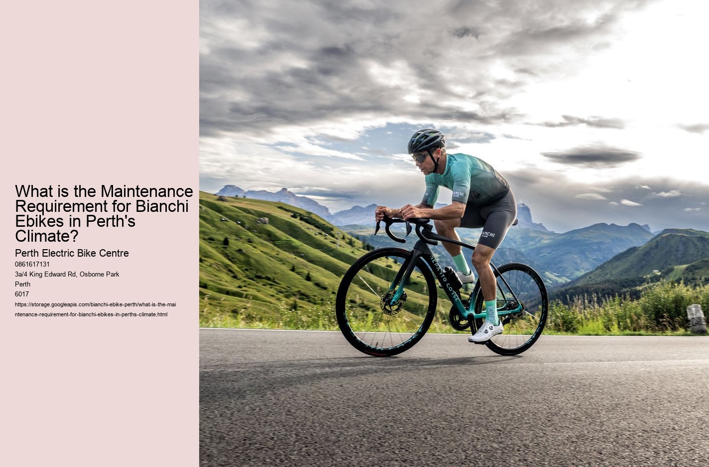 What is the Maintenance Requirement for Bianchi Ebikes in Perth's Climate?