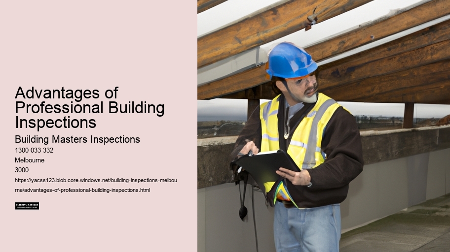 Advantages of Professional Building Inspections