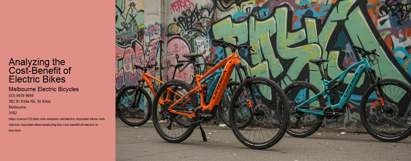 Analyzing the Cost-Benefit of Electric Bikes