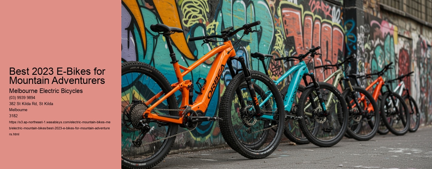 Best 2023 E-Bikes for Mountain Adventurers