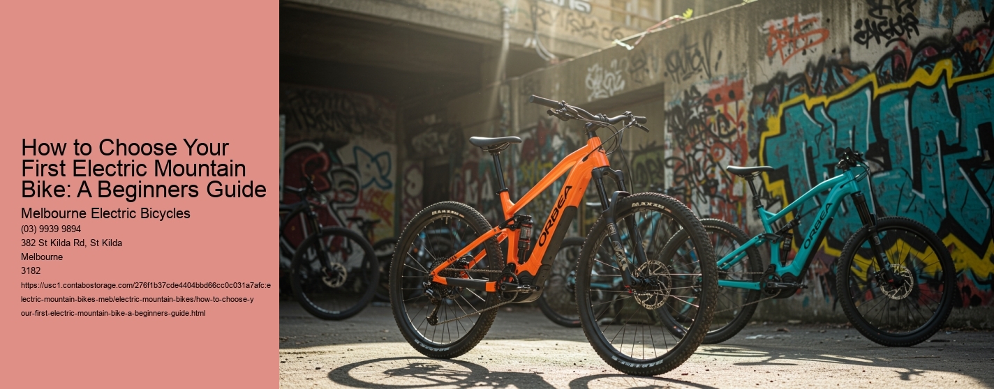 How to Choose Your First Electric Mountain Bike: A Beginners Guide