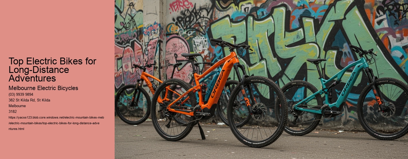Top Electric Bikes for Long-Distance Adventures