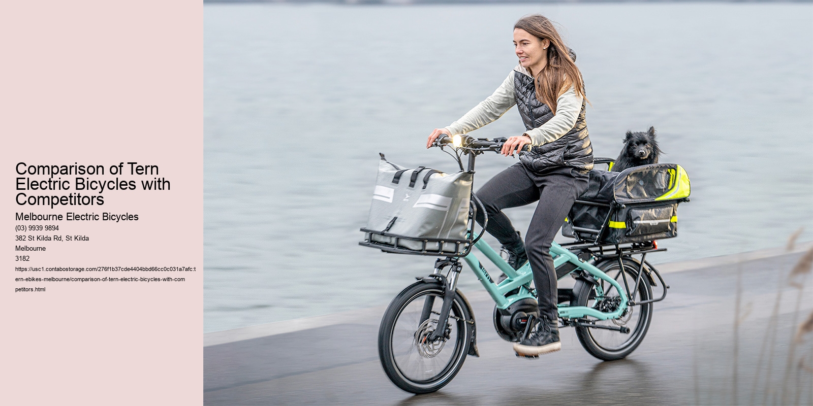 Comparison of Tern Electric Bicycles with Competitors  