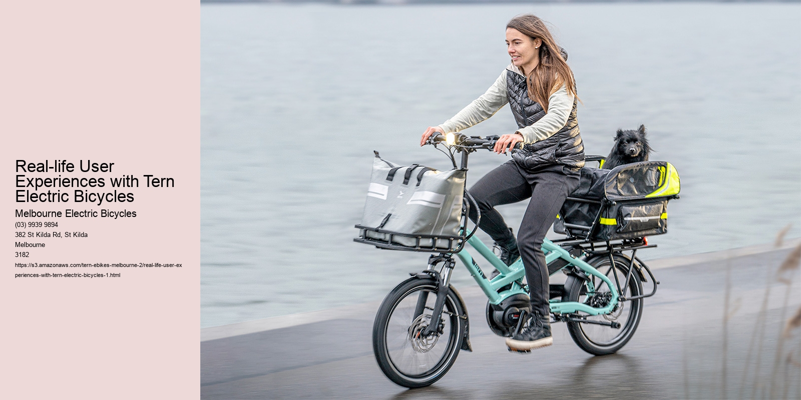 Real-life User Experiences with Tern Electric Bicycles
