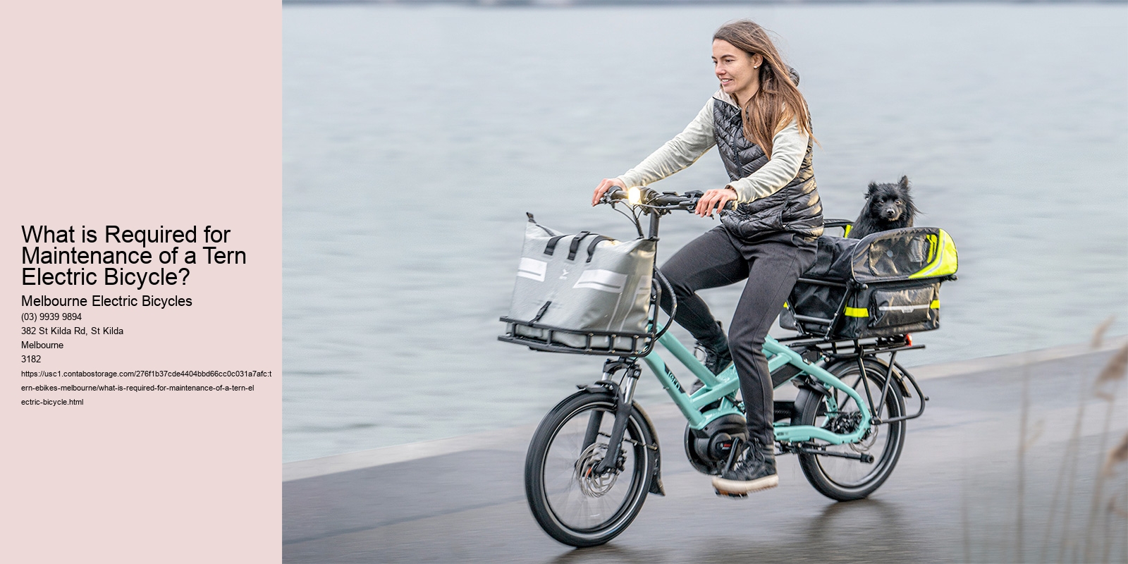 What is Required for Maintenance of a Tern Electric Bicycle?