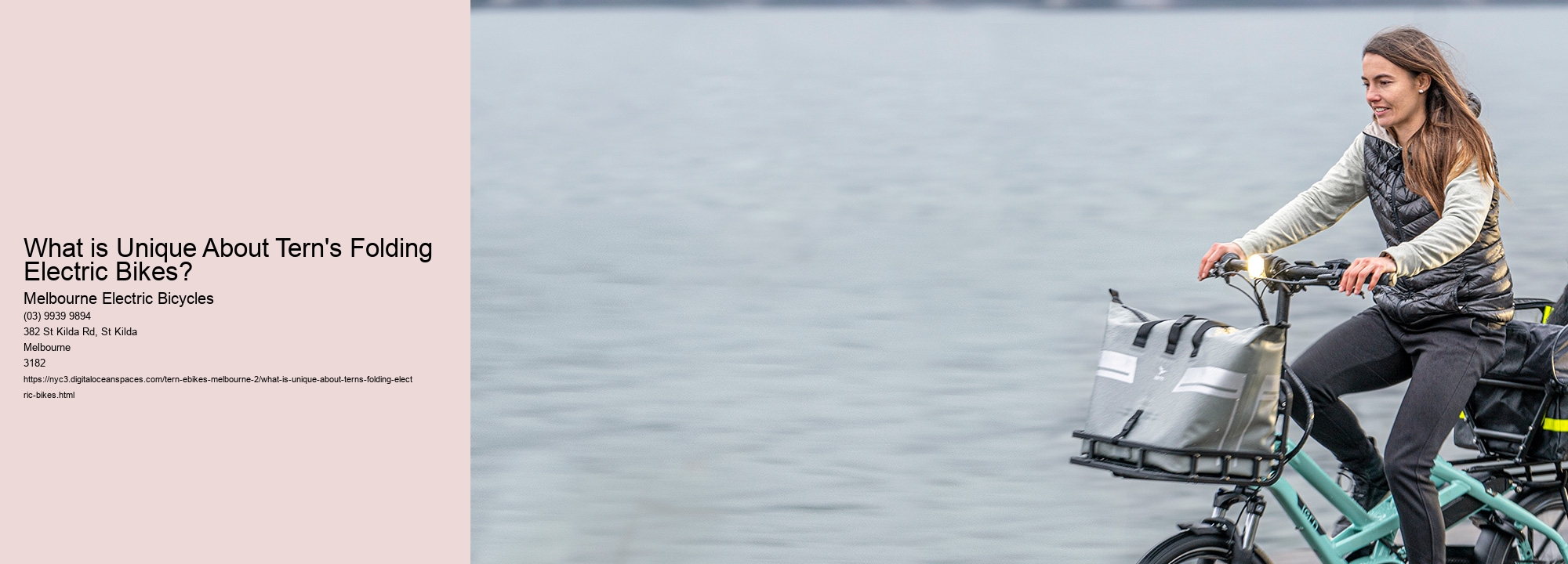 What is Unique About Tern's Folding Electric Bikes?