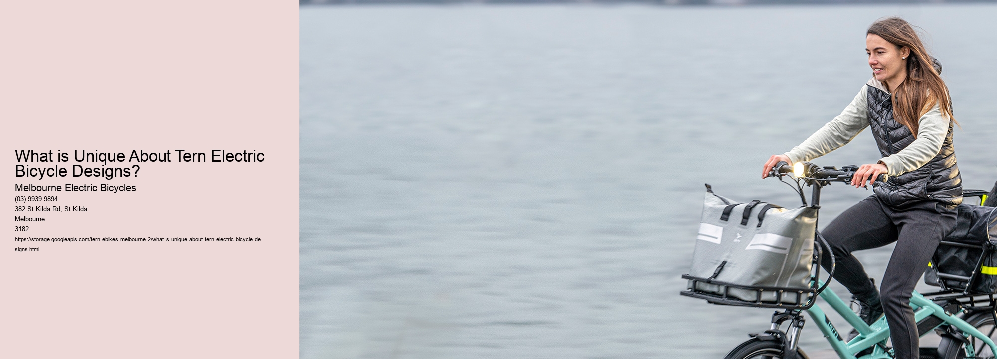 What is Unique About Tern Electric Bicycle Designs?